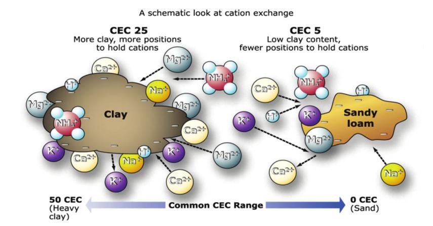 Using Cation Exchange Capacity (CEC) to Recommend Progyp-Turf Application Rates In soil science, CEC is the maximum quantity of total cations, of any class, that a soil is capable of holding, at a