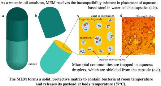 Novel FMT Capsule: Microbial