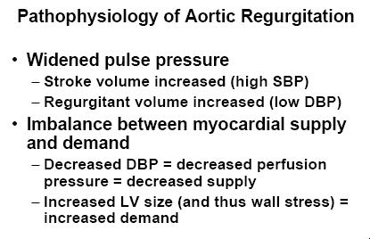 Aortic Regurg