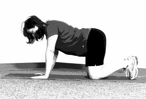 o C AT / C A M E L S T R E T C H PURPOSE: This is an exercise to prevent back pain, strengthen the lower back, and increase