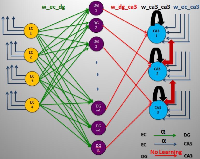 Figure 2.1.2.a presents how the synaptic connections are mapped and represented by the weigth matrix, specifically for input sequence 1, 1, and 0.
