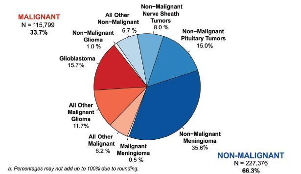 Distribution Primary Brain & CNS Tumors 2007-2011 Behavior Malignant