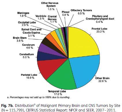 toc ALL Tumors Distribution Primary Brain & CNS Tumors 2007-2011 Primary Site