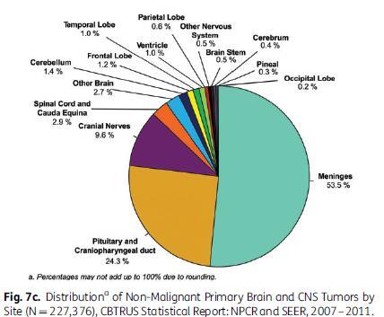 ALL Tumors Distribution Primary Brain & CNS Tumors 2007-2011 Primary Site and