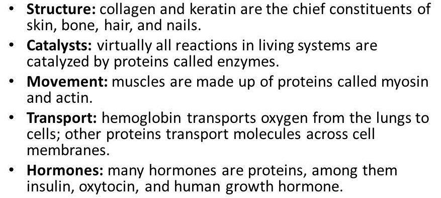 At least 10,000 different proteins make you what you are and keep you that way.