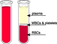 Arteries- high pressure, blood to tissues/lungs.