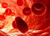 Blood Erythrocytes Haemoglobin rich cells that transport oxygen from lungs to rest