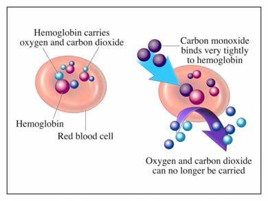 Some CO 2 dissolves (not dissociates) in blood and transports that way 3.