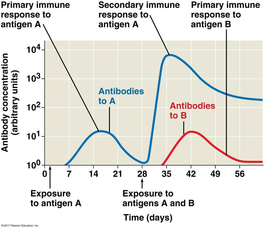 Immunological