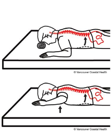 (iii) Lie on your front with firm pillow placed lengthwise from chest to lower belly Rest forehead on small rolled towel Perform level 1 and 2 exercises Ensure inner core muscles turned on, and
