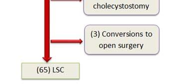ACC: Acute Calculous Cholecystitis, SLC: Standard Laparoscopic Cholecystectomy, LC: Laparoscopic Cholecystectomy, LSC: Laparoscopic Subtotal Cholecystectomy.