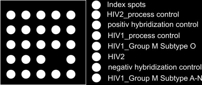CMA: Array-Layout and Threshold Cycle Detection HIV-1_group O HIV-1_group M/N