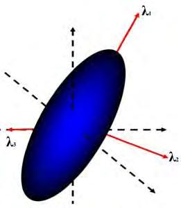 The diffusion ellipse l 1 l l 3 - solutions of the diffusion tensor Sphere isotropic diffusion (FA = 0) Cigar