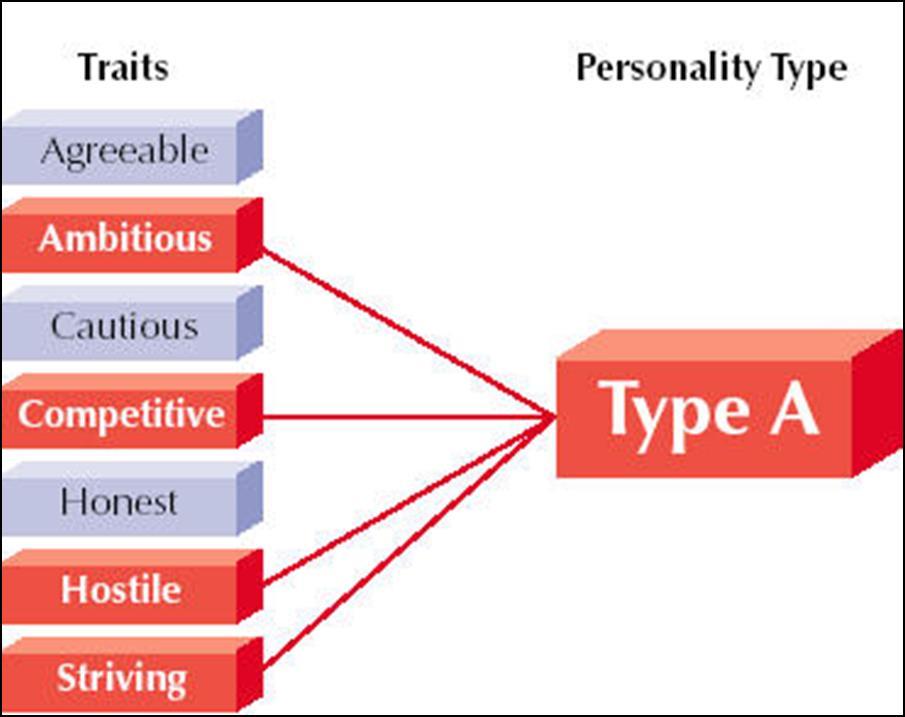 Types and Traits Personality Trait: Stable qualities that a person shows in most