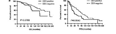 CD30 positive Subsequent DLBCL