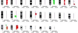 losses 106 cases Blood 113: 137, 2009 Epigenetic modifier genes are often mutated KMT2D