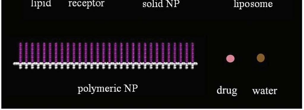 NPs and membrane Li,