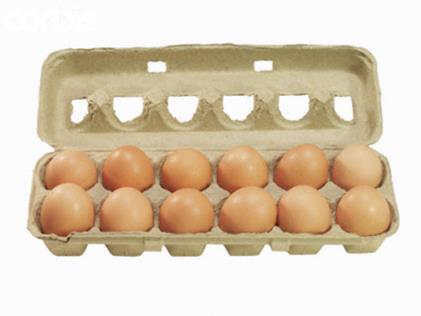 Low Oil DDGS Treatment Effects (Kreifels and Purdum) Diet Hen Body Wt. (gr.) Egg Wt.