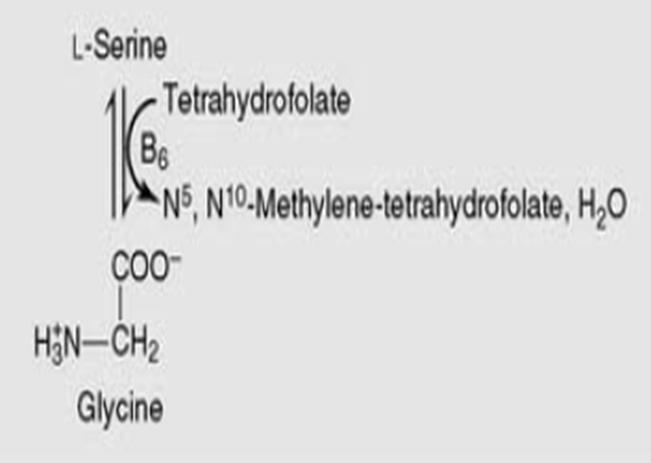 Serine can also be formed from glycine through transfer of a hydroxymethyl group by serine