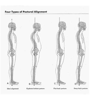 Evaluate movement Refer out all medical concerns.