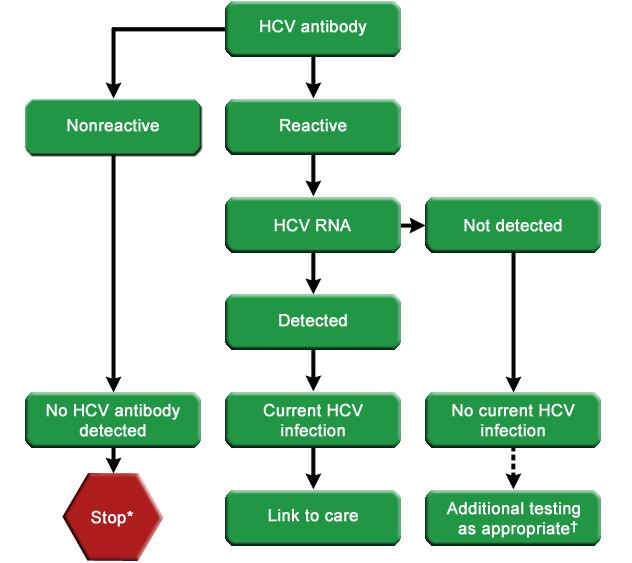 The AASLD/IDSA Recommendations for Patients with Active HCV Abstinence from alcohol Evaluation for other conditions that may lead to fibrosis (e.g.