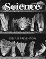 Perinatal Nutrition Does Diet Affect Disease Burden?