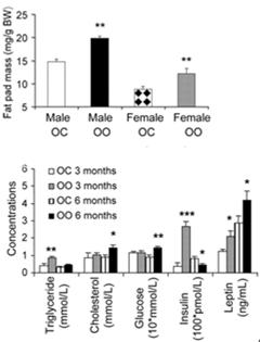 2005;115:e290-6 Diet-Induced Obesity During Pregnancy
