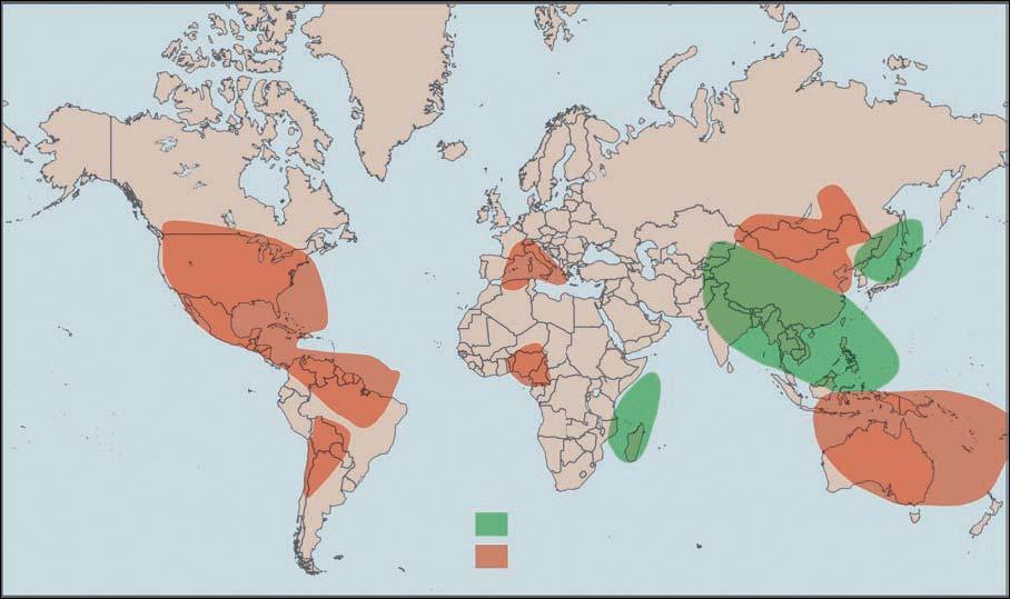 World Distribution of the Aedes albopictus Mosquito Presence of Ae.