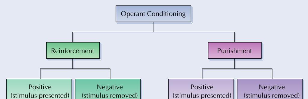 Operant Conditioning Terminology Punishmentis any outcome that weakens the probability of a response Like reinforcement, can be positive or negative Disciplinary actions are punishments
