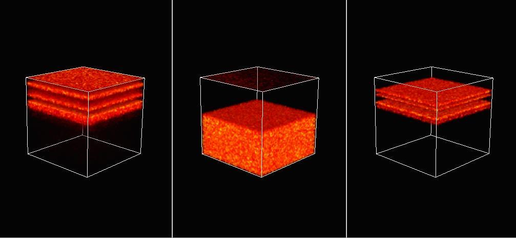 Surface Spectroscopy Surface Imaging Elemental 3D TOFSIMS imaging