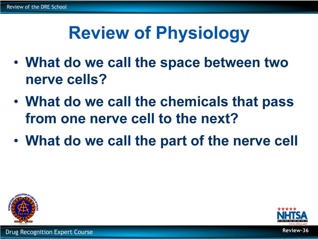Review of Physiology What do we call the space between two nerve cells?