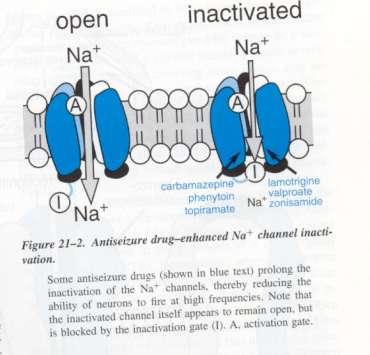 Voltage gated Na+ channel Inhibition Phenytoin Carbamazepine Lamotrigine Valproate Topiramate? Zonisamide?