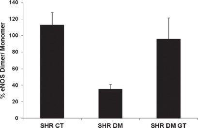 Experimental diabetes was induced in 12-week-old SHR rats via an intravenous injection of streptozotocin (50 mg/kg in sodium citrate buffer, ph 4.5).