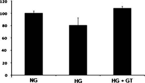 HG. D: Quantitative analysis of intracellular NO levels were also carried out after incubation with DAF-2DA. *P = 0.007 vs. NG. P = 0.001 vs. HG.