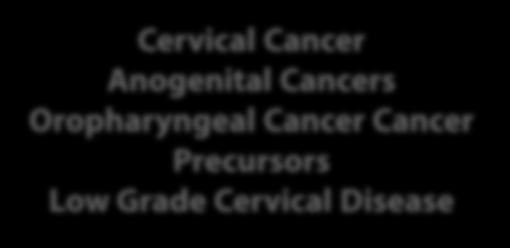 Low Grade Cervical Disease Genital Warts