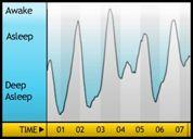 My movement during the night Amount of movement Sleep Stage Hours 4 SLEEPS Mammals