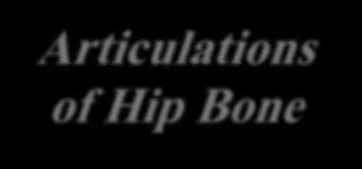Articulations of Hip Bone Symphysis Pubis: A