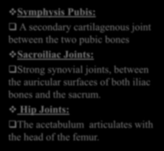 pubic bones Sacroiliac Joints: Strong synovial
