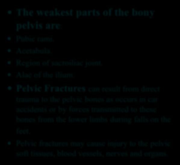 Fractures of the Bony Pelvis The weakest parts of the bony pelvis are: Pubic rami. Acetabula.