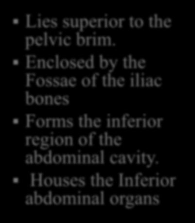 False pelvis Lies superior to the pelvic