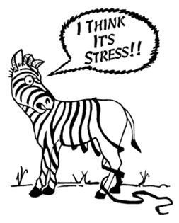 What is causing us stress?