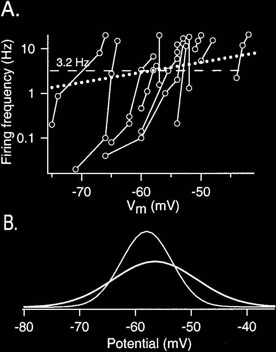 Chavas and Marty Excitatory and Inhibitory Effects of GABA Synapses J. Neurosci., March 15, 2003 23(6):2019 2031 2023 Figure 2. Determination of the equal firing potential in interneurons.