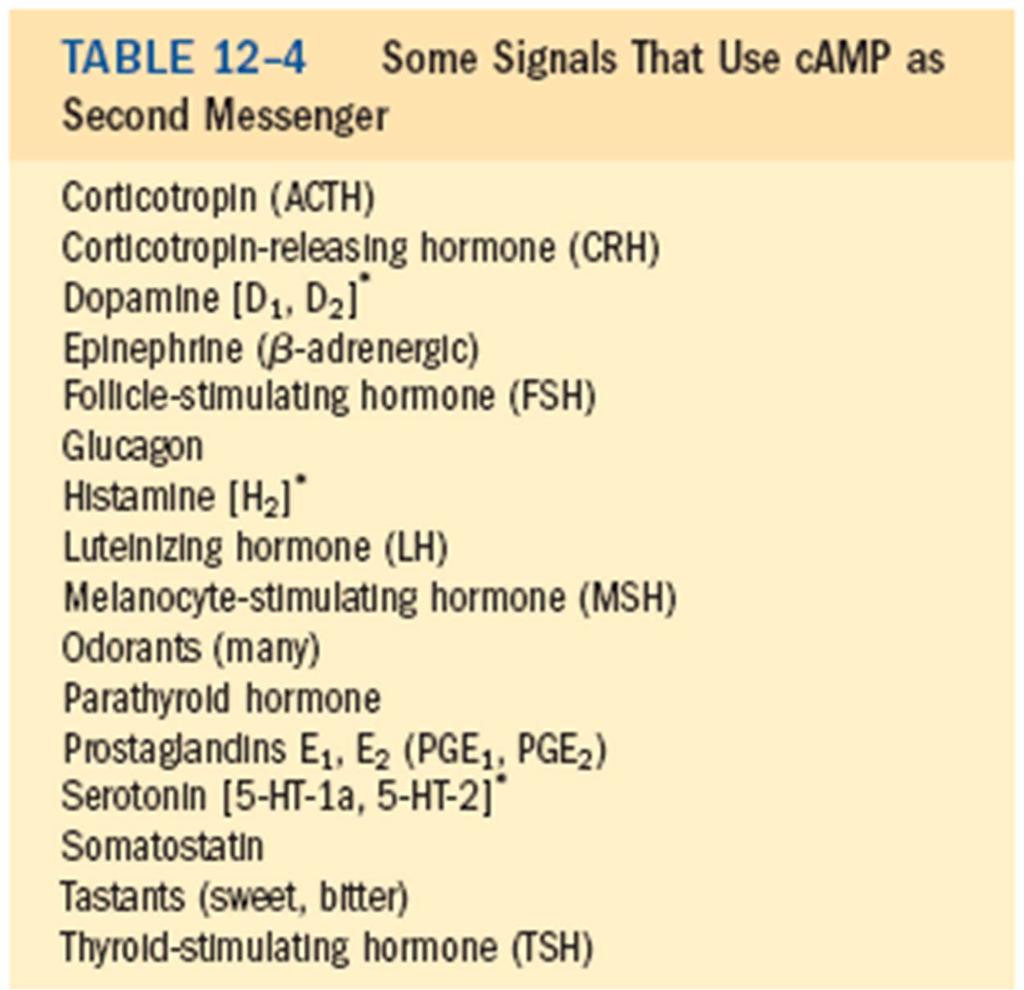 Signali, ki uporabljajo camp kot sekundarni obveščevalec k Kortikotropin o Adrenalin r Glukagon t Histamin i Lutenizirajoči hormon k Dišeče molekule