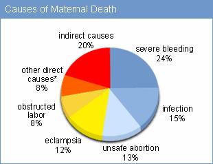 Causes of Maternal Deaths * other direct causes include ectopic pregnancy, embolism,