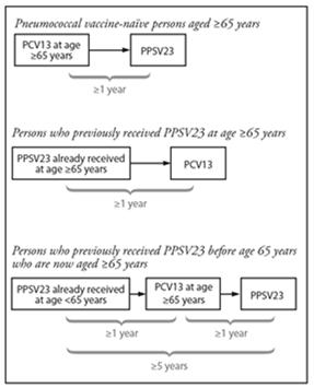 Risk group Underlying Medical Conditions or Other Indications for PPSV23 Underlying medical condition One dose recommended Revaccination 5 years after first dose Immunocompetent persons Persons with