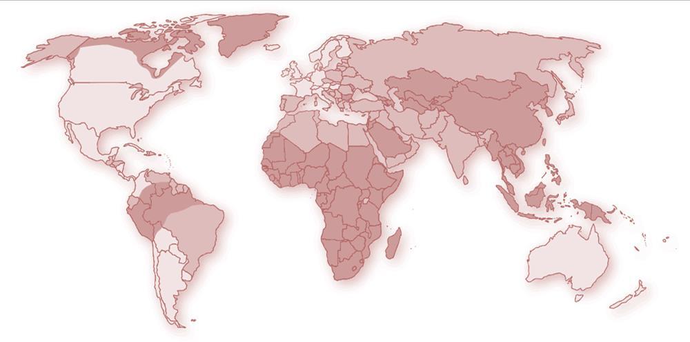 Hepatitis B ~350 million worldwide >8% 2-8%