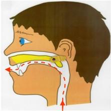Oral speech Soft palate working well enough to close off the nose Nose Soft palate Mouth Nasal