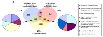 Genomic signatures of pregnancy-associated breast cancer epithelia and stroma and their regulation by estrogens and progesterone. Horm Canc 2013;4:140-53. Harvell DME, Kim J, O Brien J, et al.