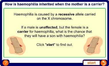 How is haemophilia