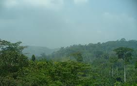 rain forests inland http://travel.